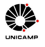 Logo Unicamp